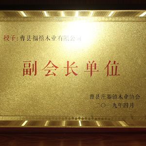 副會(huì)長(zhǎng)單位